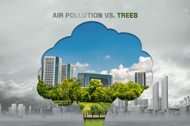 Air Pollution vs. Trees