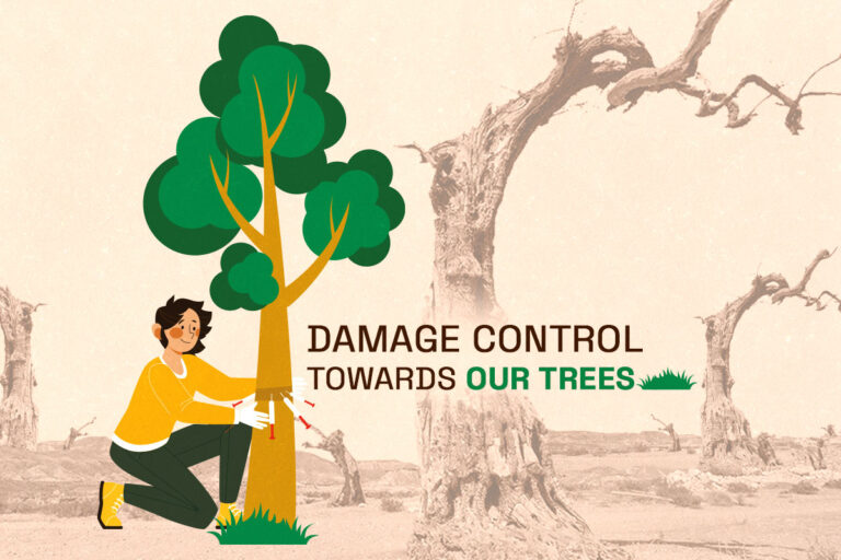 Damage control towards our trees