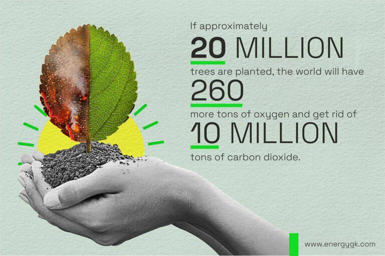 Interesting facts about trees and the impact of deforestation around the world.