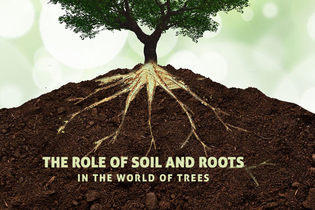 The role of soil and roots in the world of trees – Plant 51 Trees